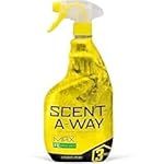 Review Image by Jane Jane