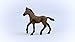 Schleich Horse Club Realistic Paso Peruano Foal Horse Figurine - Detailed Horse Toy, Durable for Education and Imaginative Play for Girls and Boys, Gift for Kids Ages 5+