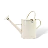 HORTICAN 1 Gallon Watering Can, Matte Cream, Metal Watering Can with Removable Spout, Galvanized Water can, Perfect Plant Water Can for Outddor and Indoor Use