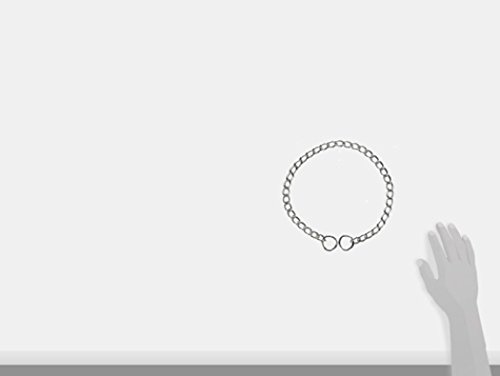 Hamilton Extra Heavy Choke Chain Dog Collar, 26-Inch #TOP2