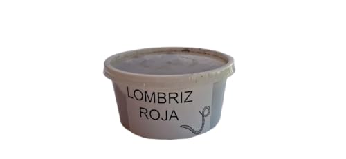 Lombrices vivas variedad Eisenia. Tarrina con 20 unidades de lombrices adultas. Lombriz de tierra vivas. Ideal para elaborar compost. Aptas para uso en pesca. Vermicompostador. (1)