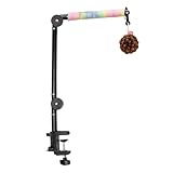 Perchoir Pour Perroquet | Jouets Éducatifs Interactifs 4-en-1,Support Perroquet Perchoir Pour Calopsitte,Pour Jeu Escalade Éveil Intérieur Calopsittes Conures Inséparables Maison