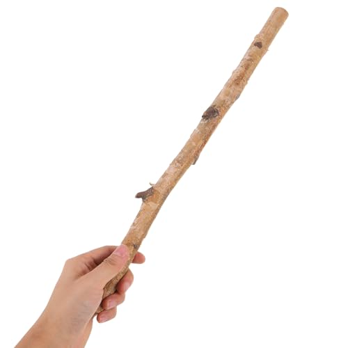 Composition végétale haut de gamme avec 6 branches en bois brut