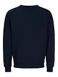 JACK & JONES Male Sweatshirt Einfarbig Sweatshirt