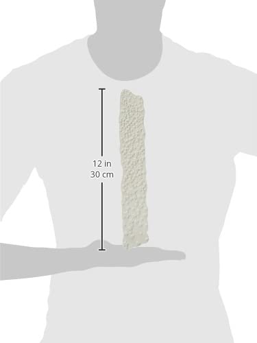 Carabelle Studio Starry Sky Cling Timbri, Gomma