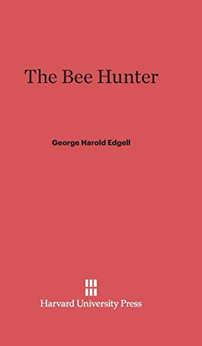 The Bee Hunter view 2