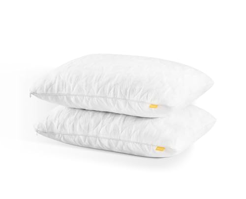 Catálogo para Comprar On-line Nooz para comprar online. 47 Nooz Almohada Pack de 2 Memory Foam Responsive King Size – Espuma Viscoelástica Adaptable, Funda Bamboo Transpirable, Soporte Ergonómico, Hipoalergénicas, Lavables, Juego 2...