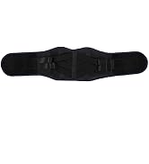 Back Brace, Breathable Waist Support Belt Lumbar Steel Plate Adjustable Lower Back Belts for Back...