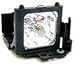 LIESEGANG DV 305 Replacement Projector Lamp ZU0269 04 4010