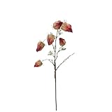 FloristryWarehouse