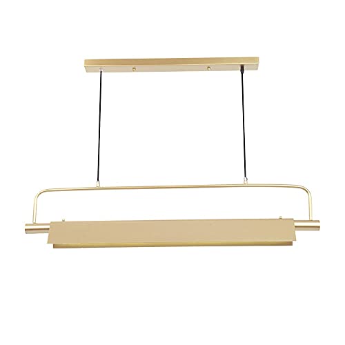 18W Modern LED Chaner Dining Room Ceiling Lamp - d