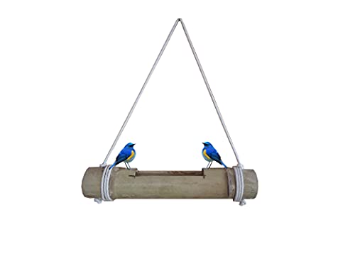 Image of Bamboo Feeder for Birds Natural Bamboo (Pack of 1) Color -Natural (Green to Pale Yellow) (Code 013)