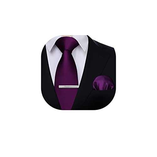HISDERN Cravate Mauve Homme Formelle Élégante Classique Ensemble de Cravates et Mouchoir et Pince pour Mariage Affaires Fête