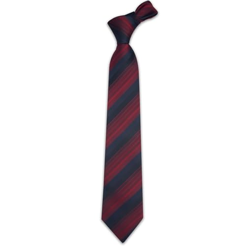 Image of YourTies Men's Neckties Striped Tie and Plaid Neckties for Men Woven Silk Tie Gold Tie Clip Set