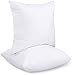 Utopia Bedding Coussins de Garnissage 60 x 60 cm (Lot de 2), Coussin à Recouvrir, Oreillers Intérieur, Rembourrage Coussins (Blanc)