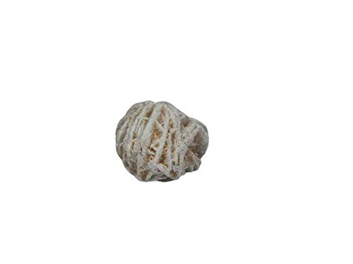 Maru Pushpa Rose du désert 19,2 carats, pierre semi-précieuse rare