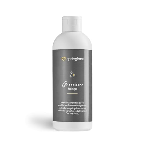 SPRINGLANE Limpiador de hierro fundido 250 ml