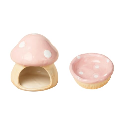 a Z~bNnX^[nEXAa{EtA}bV[^nX^[P[XiW[rpj, sN