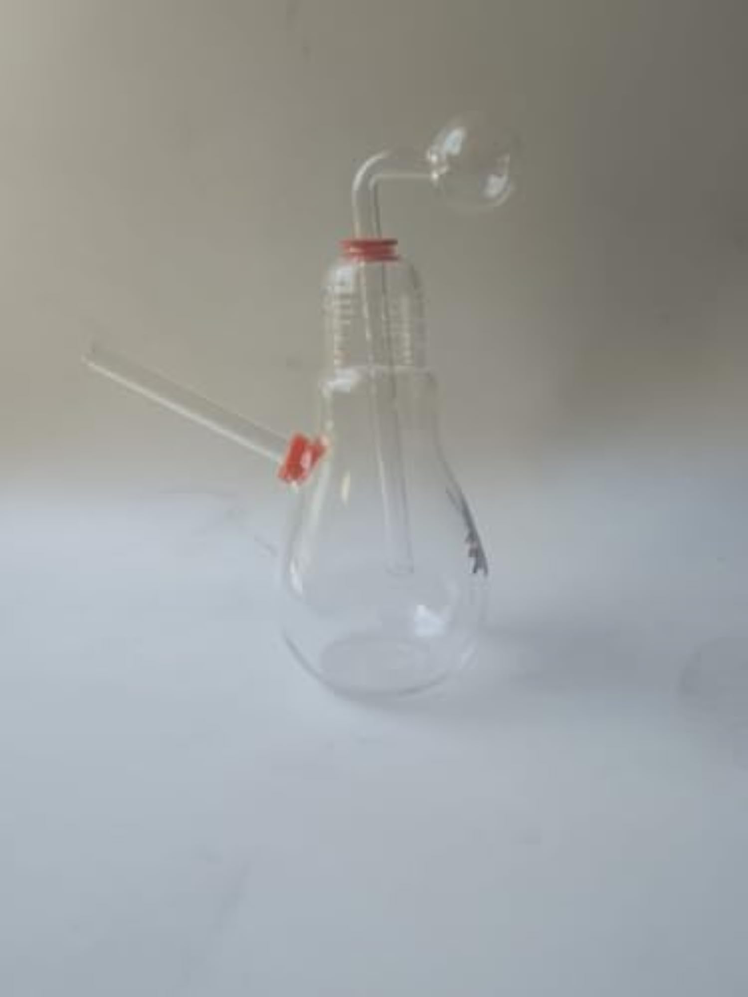 Bulb Snowper, Color 2
