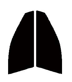 ЃZu ^]ȁE n[hR[gtB NE Z_ Ή S20# Jbgς݃J[tB EgubN