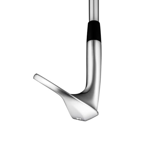 ミズノ(MIZUNO) The Craft Wedge ゴルフ ウェッジ PROJECT X 5.5 48ﾟ/18ﾟ 2023年モデル メンズ 4枚目
