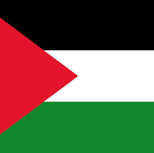 『The Bigger Picture: Recognising Palestine, the doctors' strike, Trump's visit & migration』のカバーアート