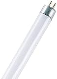 Delgado y compacto Osram Basic T5 - Lámpara fluorescente, G5L 13 W/640