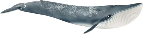 SCHLEICH 14806 Blue whale Wild Life Toy Figurine for children aged 3-8 Years