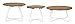 Safavieh PAT6747A Outdoor Collection Henderson Teak and White 3Pc Wood Top Coffee Table