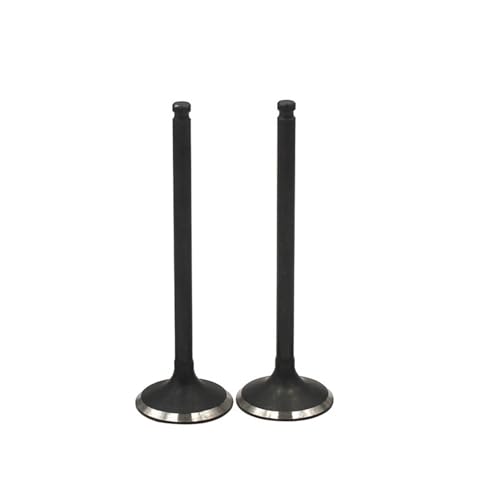 Soupape YMH WR250 en acier haute résistance aux normes thermiques strictes