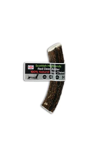 Scottish Deer Antler Dog Chews - Naturally Shed Long Lasting 100% Natural (Deer Antler Chew Medium 90-130g)
