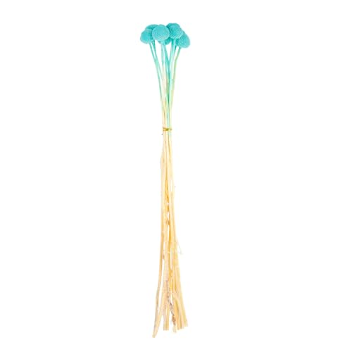 10 piezas Flores Secas Craspedia para Decoración miniatura 1