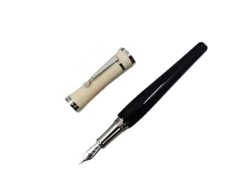 Stylo-plume de luxe argenté avec son coffret d'écriture pour la signature de contrats professionnels