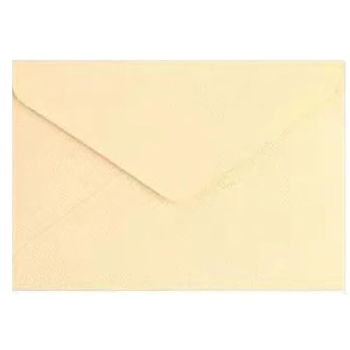 Eeskvrebuz 50������ 20.1x15.1cm ���� ���������ҏ� �r�W�l�X�p�|�X�g�J�[�h �e�N�X�`�� ���[��p�i ���[�o�b�O A