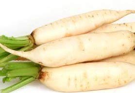 Golden Hills Farm® (AVG 500-1000) seeds Raddish-white seeds (B0861BD64F) Amazon Price History, Amazon Price Tracker