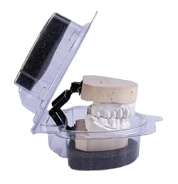 AmeriCan Goods Dental Model Carrier & Denture Box with Foams Ortho Appliance Care Disposable Plastic Clear Cases (50)
