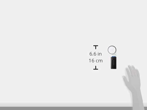 Amazon.co.jp: エッシェンバッハ mobiluxLED+mobase LEDワイドライト