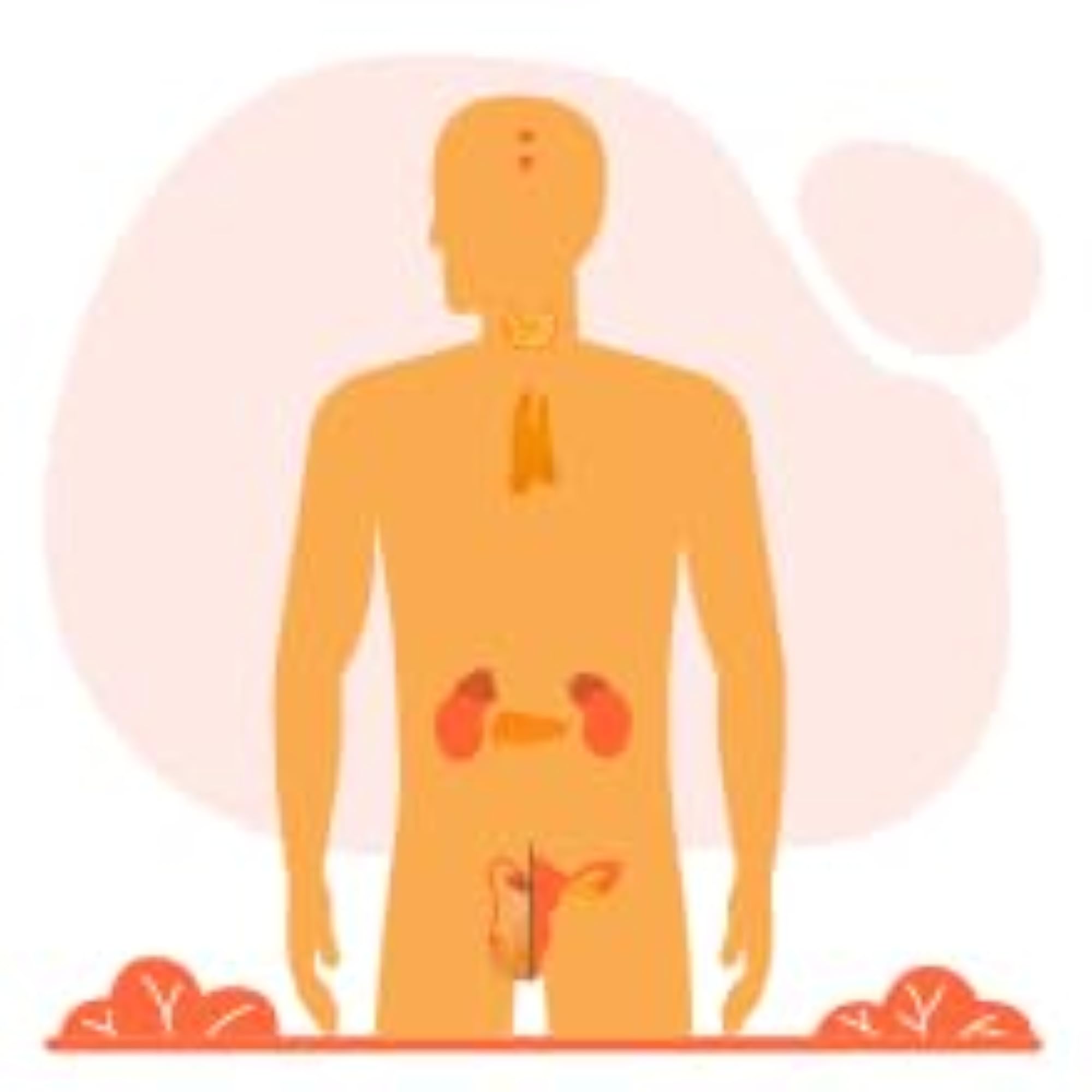 Sitaram Ayurveda Siva Gulika, 50 Nos