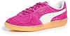 PUMA 2