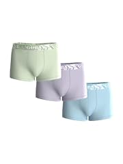 Cloud Blue Pistachio Catmint