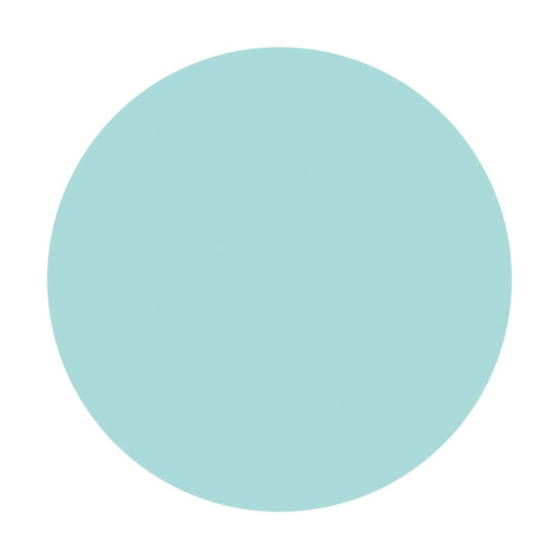 Aoihrraan 220cm Diamètre Pale Turquoise Ronde Fond pour Photographie  Turquoise Clair Toile De Fond Couleur Unie Séance Photo Anniversaire Bébé  Douche Nouveau-Né Enfant Adulte Portrait Papier Peint : Amazon.fr: High-Tech