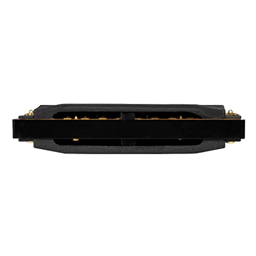 LOVIVER Ensemble D’harmonica Diatonique 10 Trous – de C, D, Harmonicas Harp Pack - Les Beatles, Paul McCartney, John Lennon, RIngo Starr, George Harrison LOVIVER Ensemble D'harmonica Diatonique 10 Trous - de C, D, Harmonicas Harp Pack – Image 7