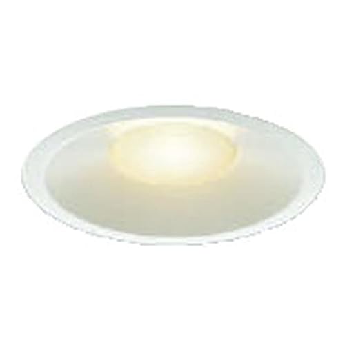 �R�C�Y�~�Ɩ� LED�i�d���F�j �_�E�����C�g 100W���� AD51091