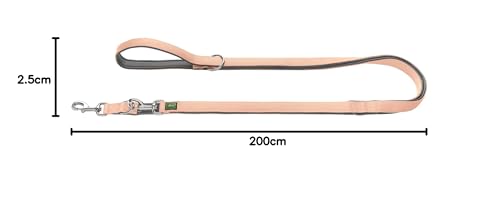 Laisse réglable en néoprène nylon résistant 2m pour éducation - 5