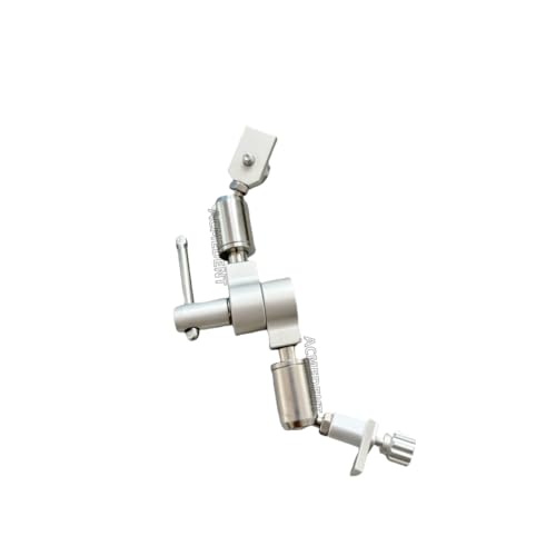 Medical Dental Educational Model BF Type Study Model with 28pcs Teeth Soft Gum Screw Fixed Without Articulator
