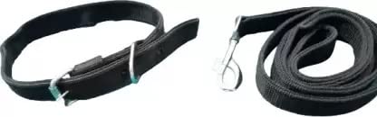 Kapoor pets Dog Belt Combo of Dog Collar with Dog Leash Specially for Small Breeds Dog Collar Leash (Black) Size 1 Inch (B0B1VHN2TQ) Amazon Price History, Amazon Price Tracker