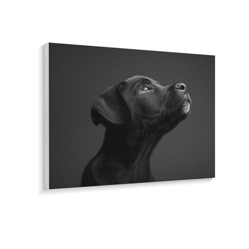 G bZ sAubÑuhgo[ fW^G LbgɂG DIYG h ʐ^Be 킢ʔ LbghG Ǐ z[ ItBX hG H| S l q 蕨 40×30cm