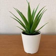 Ikea FEJKA - Mini plantas de escritorio artificiales para suculentas (6 cm, 2 unidades)