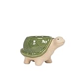 Abbott Collection Stoneware Turtle Planter - Green, Small (3.5' H)