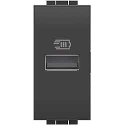 Cargador Usb Bticino Bticino L4191A Cargador USB con una Entrada Tipo A para Instalar en la Placa Livinglight, para Cargar Dispositivos electrónicos de hasta 15 W, 1 módulo, Antracita